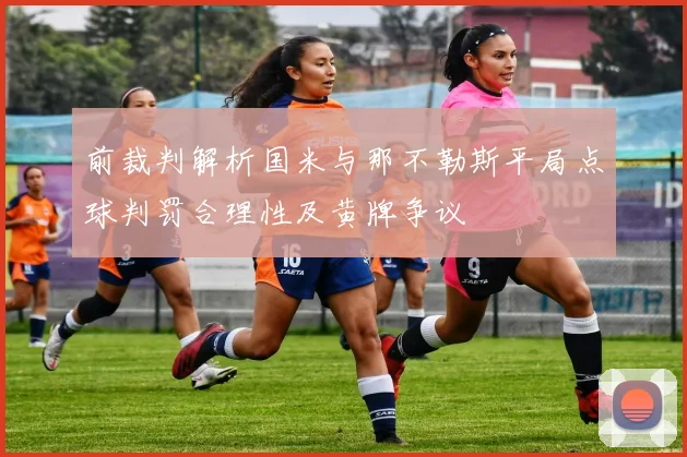 前裁判解析国米与那不勒斯平局点球判罚合理性及黄牌争议